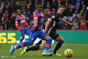 易游体育-包含布莱顿客场不敌水晶宫，保级形势岌岌可危的词条